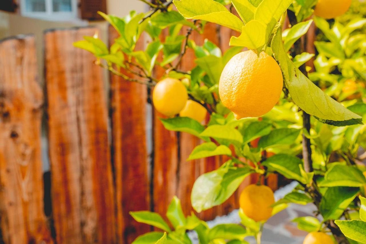 Casa Da Carmen Boutique & Private Spa Mezzolombardo Dış mekan fotoğraf
