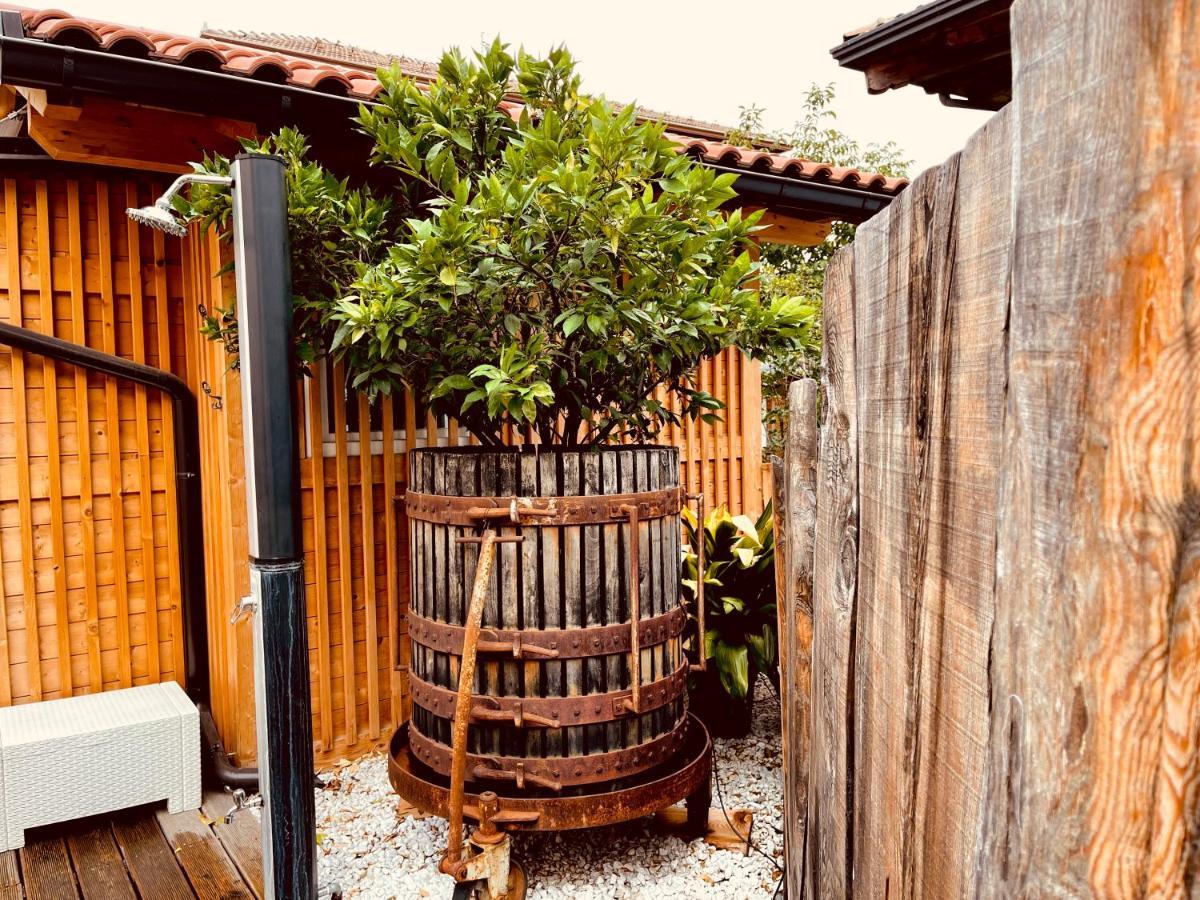 Casa Da Carmen Boutique & Private Spa Mezzolombardo Dış mekan fotoğraf